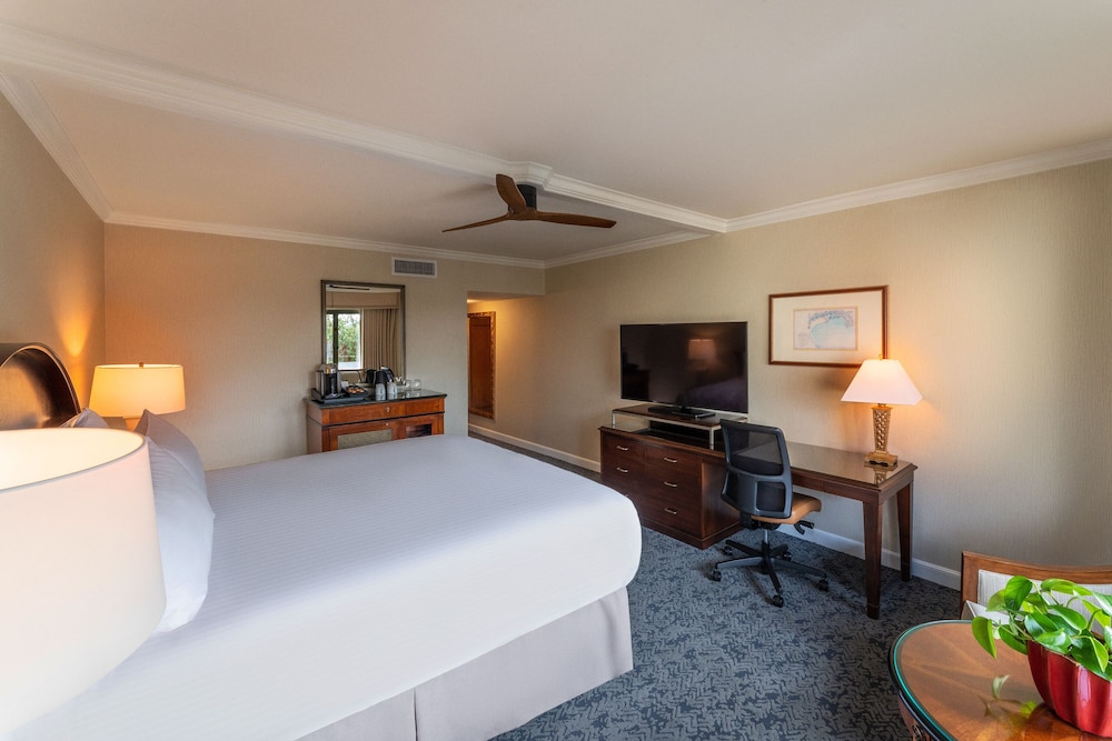 Room, 1 King Bed, Accessible, Ocean View (Balcony) - Photo 4