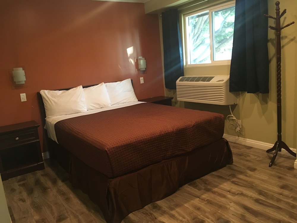 Room, 1 Queen Bed photo 3