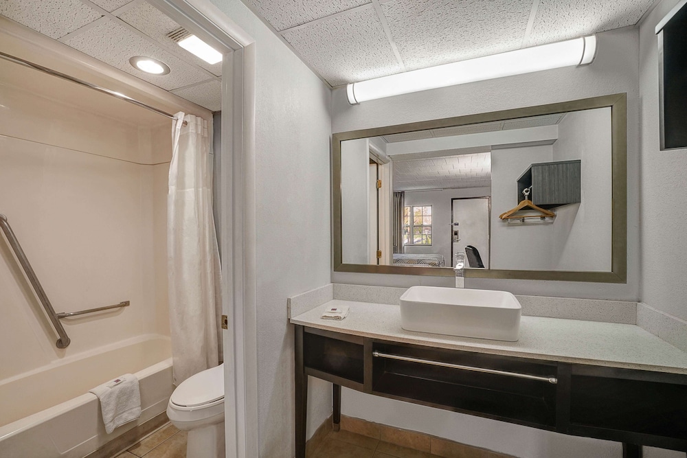 Standard Room, 1 Queen Bed, Non Smoking, Refrigerator & Microwave - Photo 4