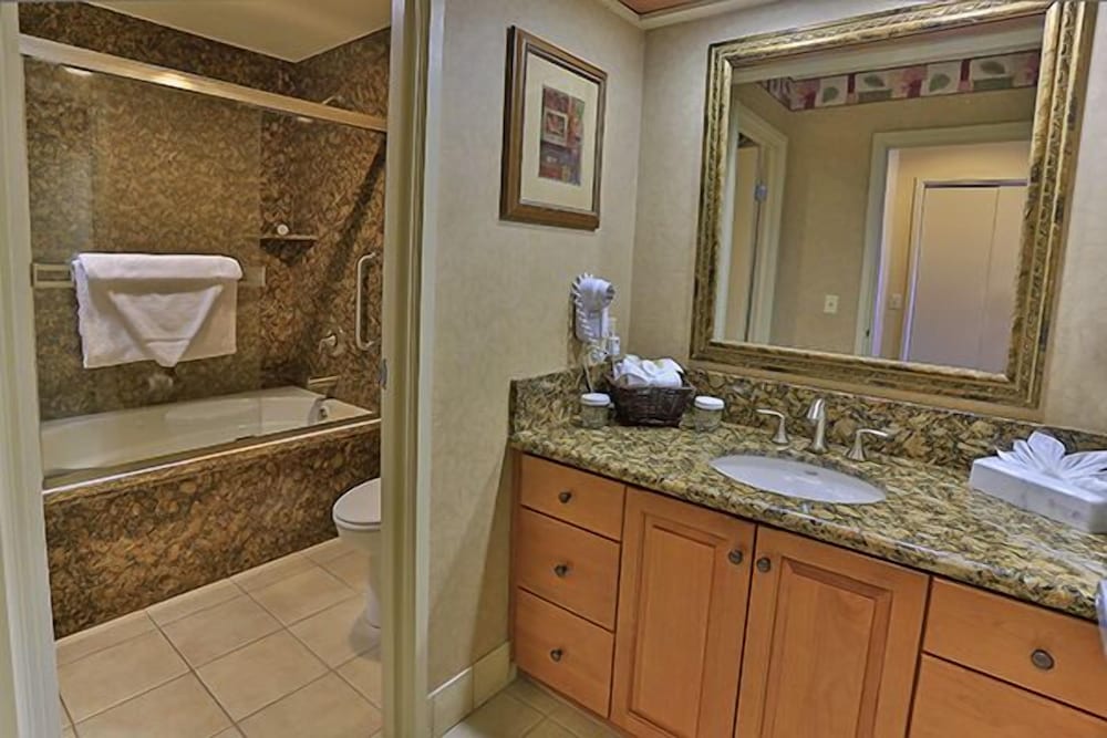 Suite, 1 Bedroom photo 2