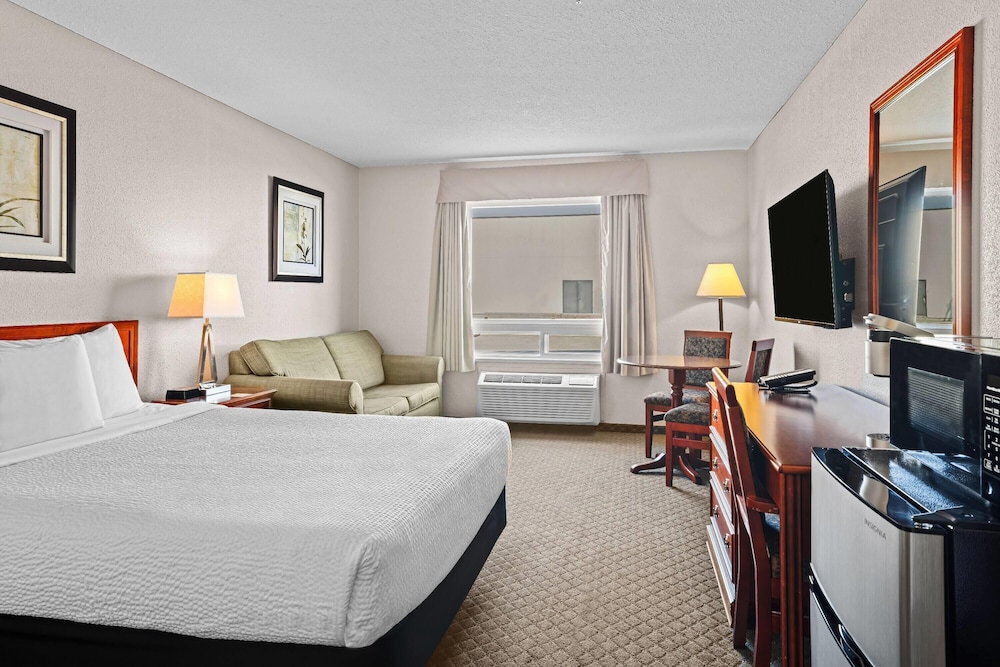 Accessible Room with 1 Queen Bed and Sofa photo 1
