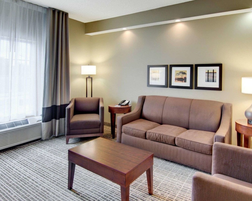 Suite, 1 King Bed with Sofa bed, Accessible, Non Smoking - Photo 4