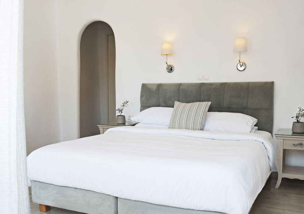 Deluxe Double or Twin Room - Photo 1