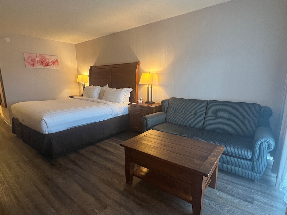 Room, 1 King Bed with Sofa bed, Non Smoking (Lakefront) - Photo 4