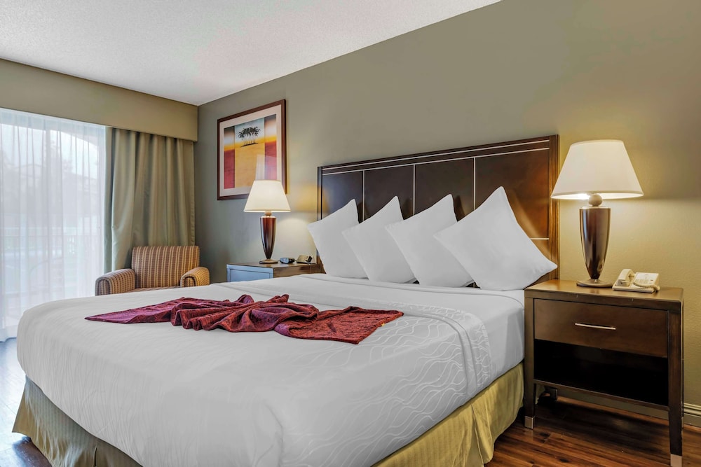 Standard Room, 1 King Bed, Accessible, Non Smoking - Photo 2