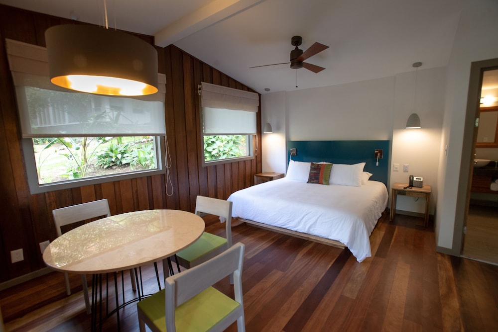 Superior Room, 1 King Bed, Non Smoking
