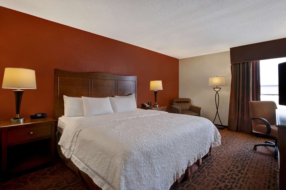 Room, 1 King Bed, Accessible, Refrigerator & Microwave (Bathtub) - Photo 1