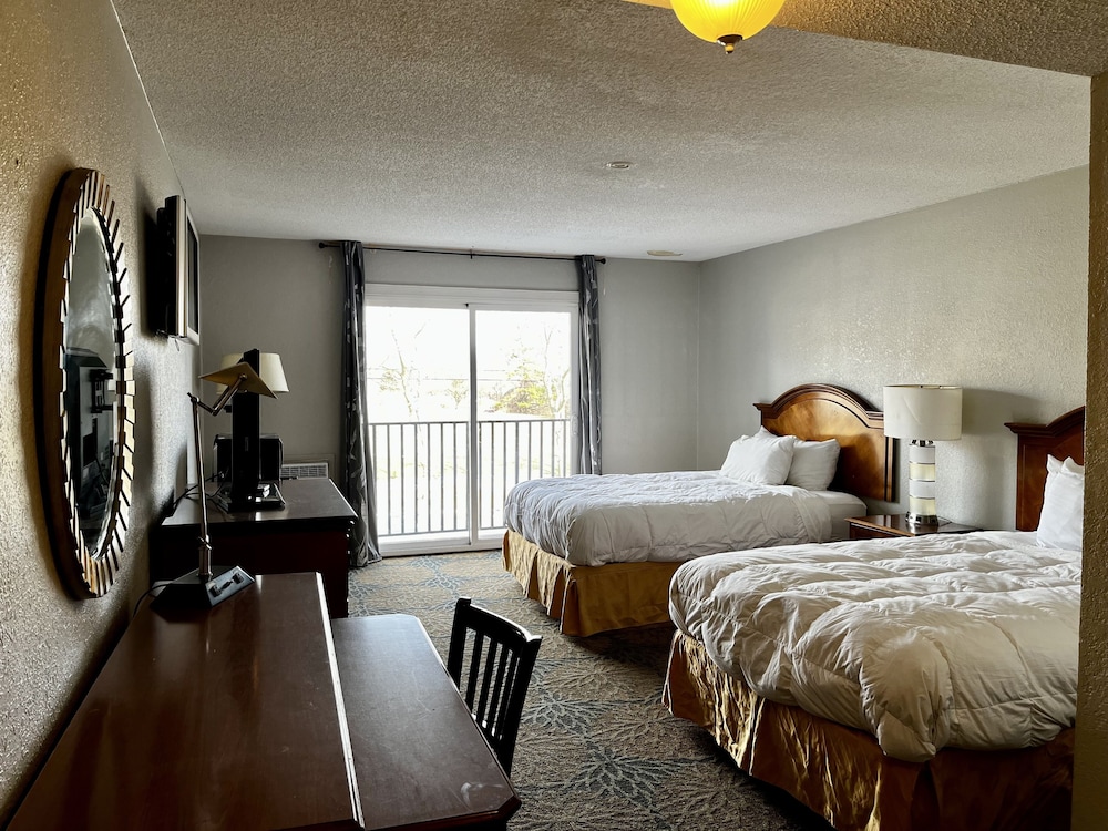 Basic Single Room 2 Queen Beds photo 1