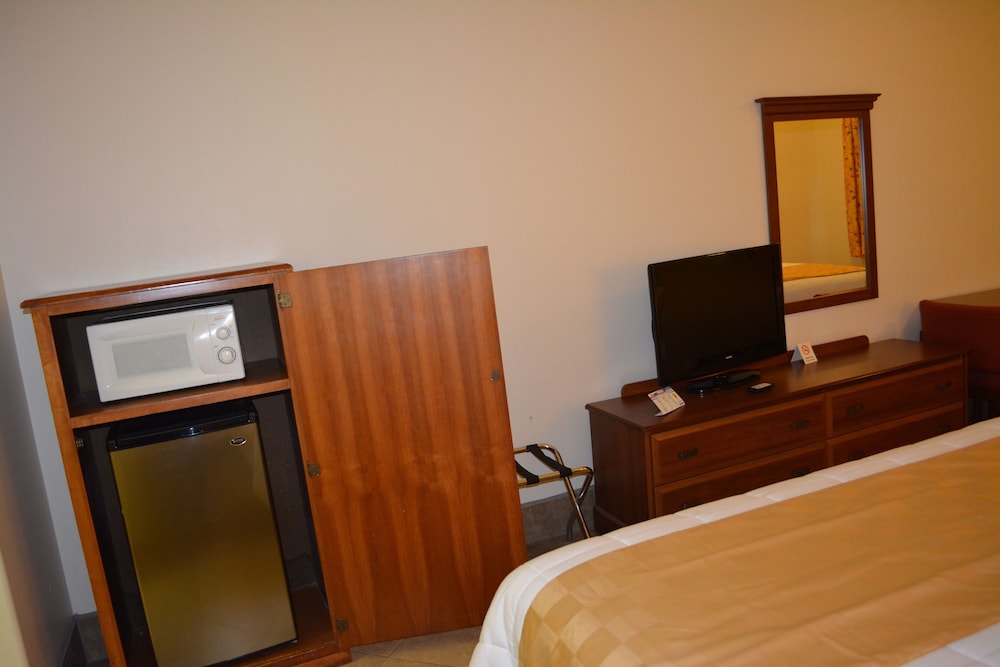 Deluxe Room, 1 King Bed, Non Smoking, Refrigerator & Microwave - Photo 2