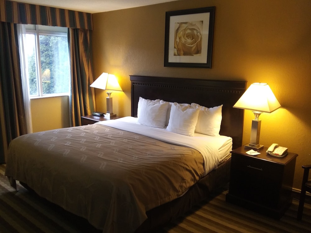 Room, 1 King Bed, Non Smoking (Upgrade) - Photo 2