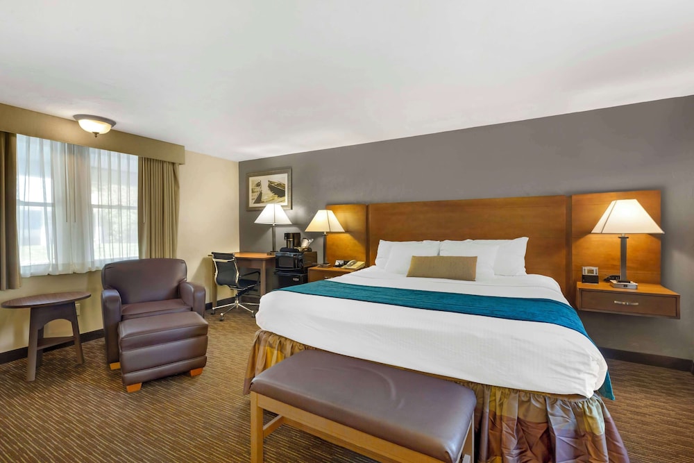 Standard Room, 1 King Bed, Non Smoking, Refrigerator & Microwave - Photo 2