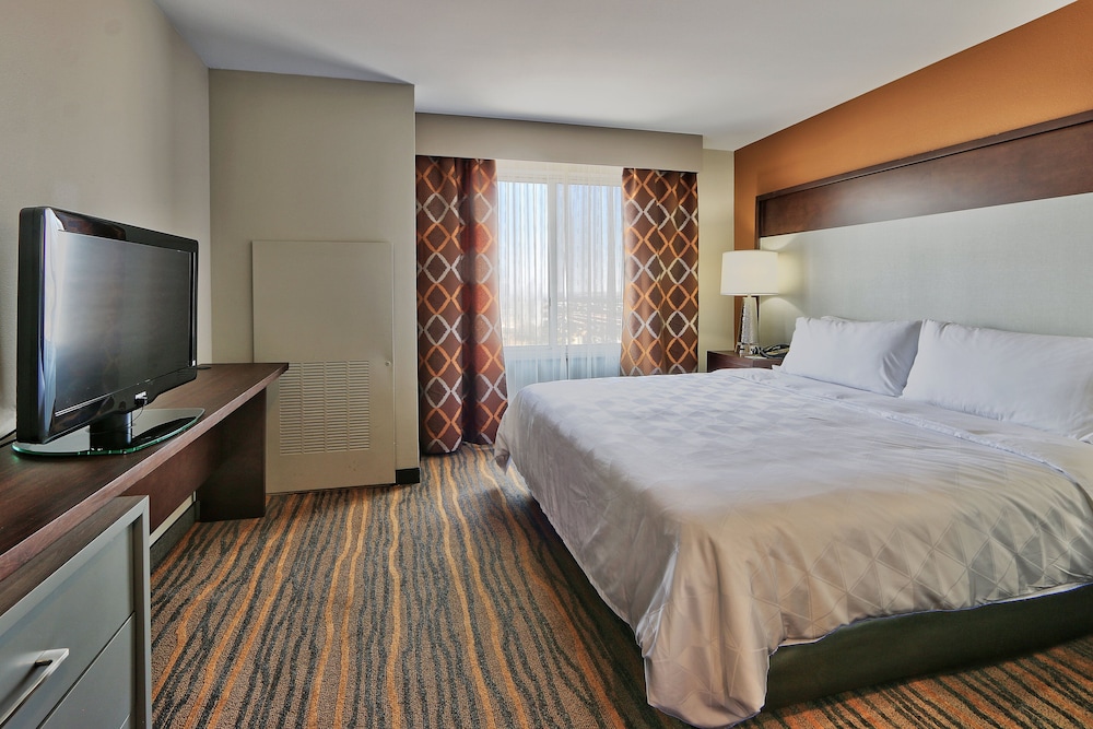 Suite, 1 King Bed with Sofa bed, Accessible (Communications) - Photo 1