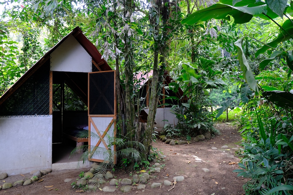 Basic Cabin photo 1
