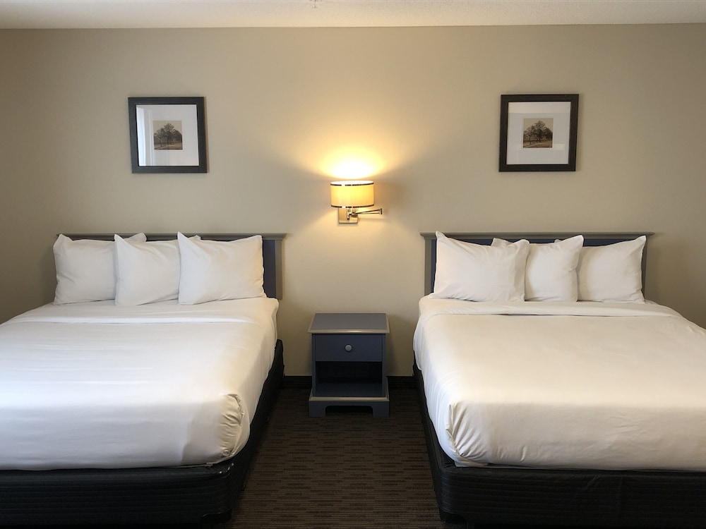 Standard 2 Queen Room