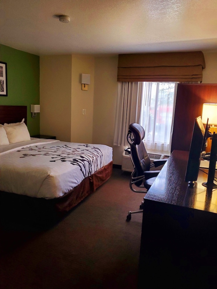 Room, 1 King Bed, Accessible, Non Smoking - Photo 4