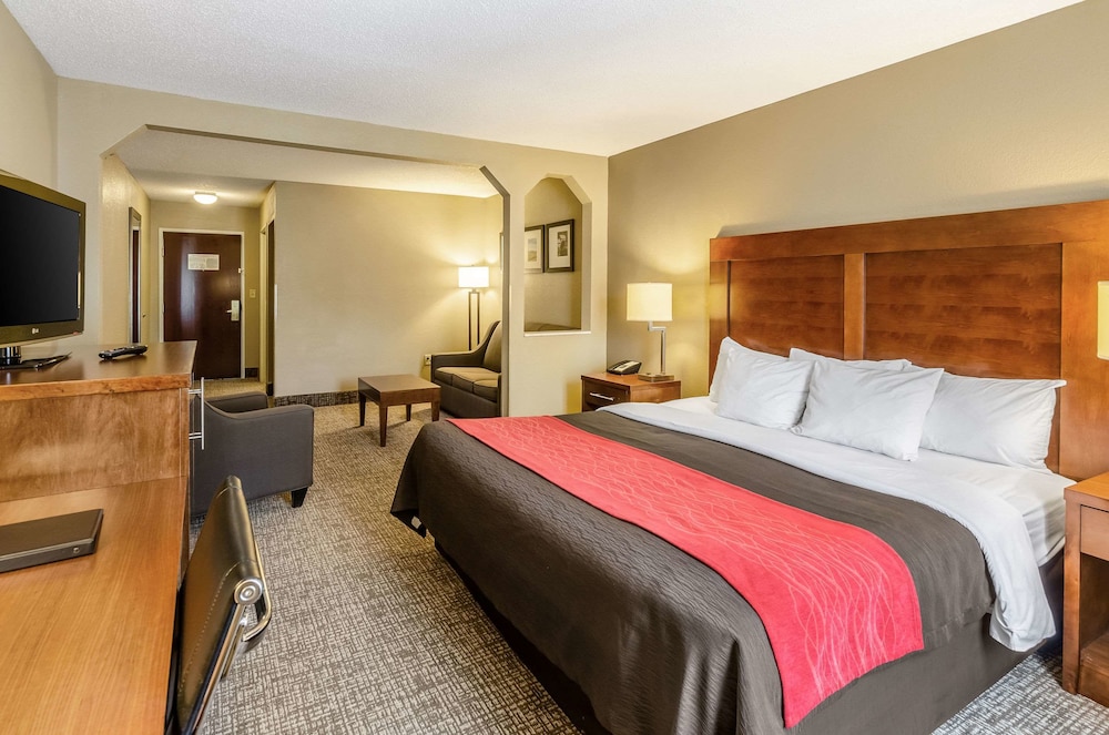 Suite, 1 King Bed, Accessible, Non Smoking - Photo 6