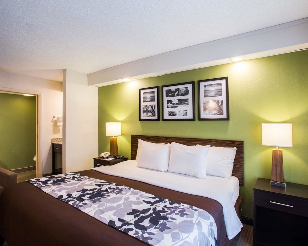 Standard Room, 1 King Bed, Non Smoking - Photo 6