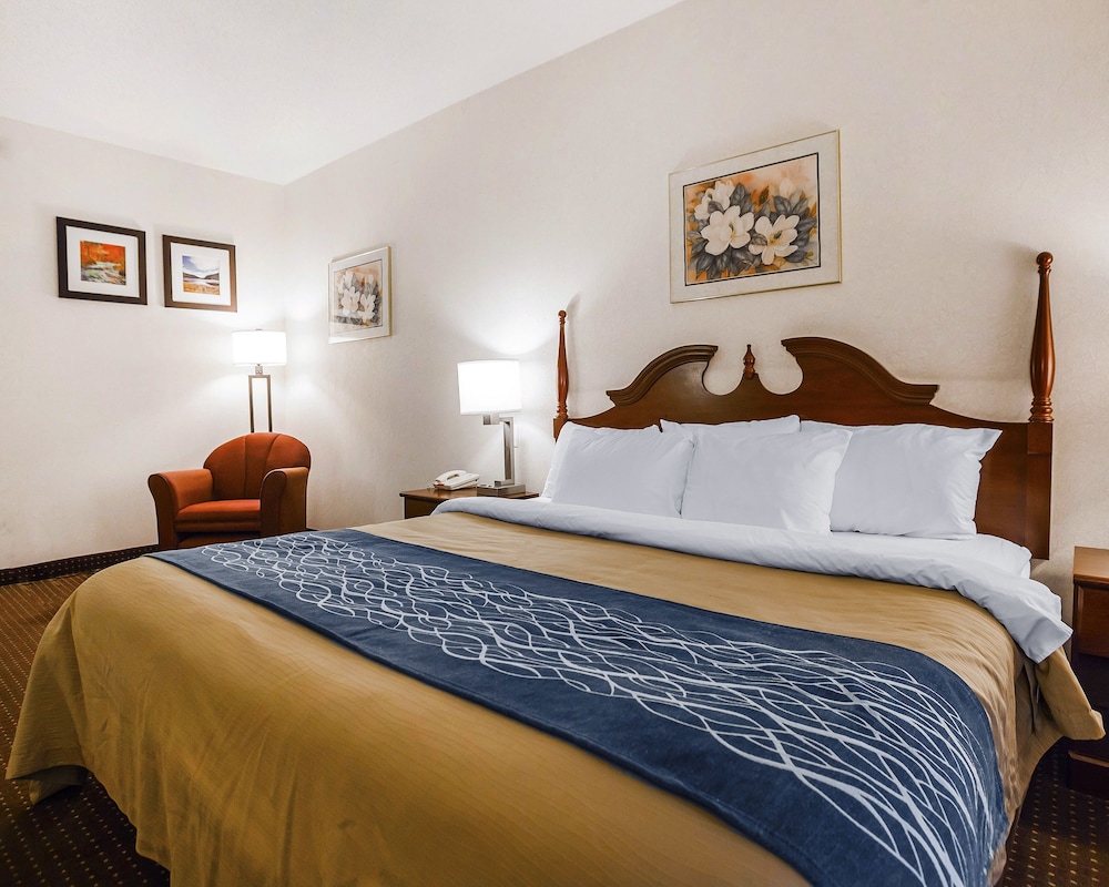 Room, 1 King Bed - Photo 4