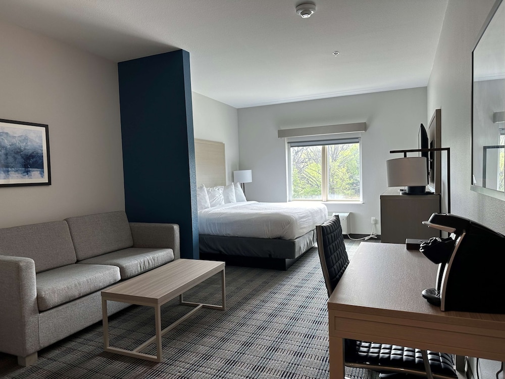Suite, 1 King Bed, Accessible, Refrigerator & Microwave - Photo 1