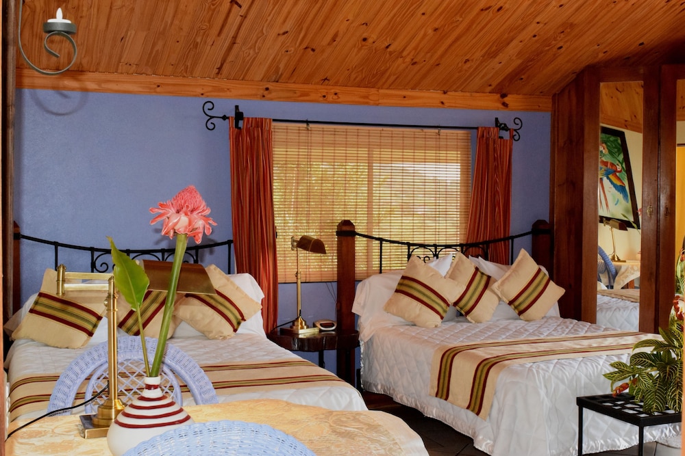 Studio Suite, 2 Double Beds photo 2