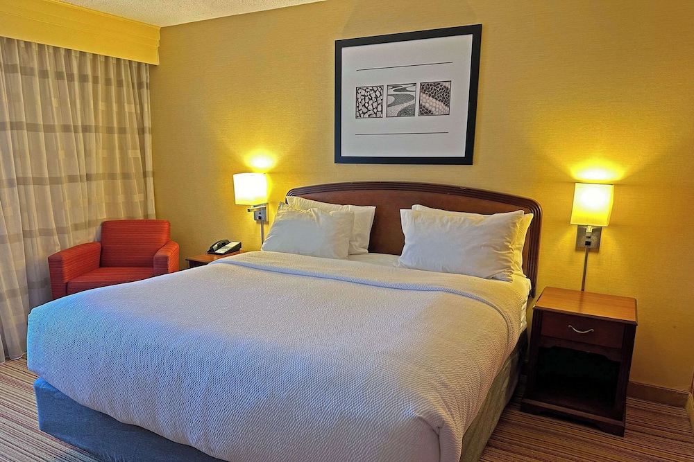 Suite, 1 King Bed, Non Smoking - Photo 1