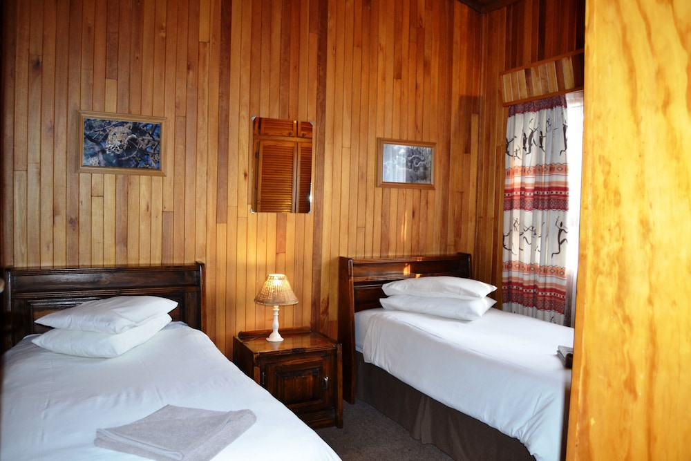 Family Cabin, Multiple Beds photo 3