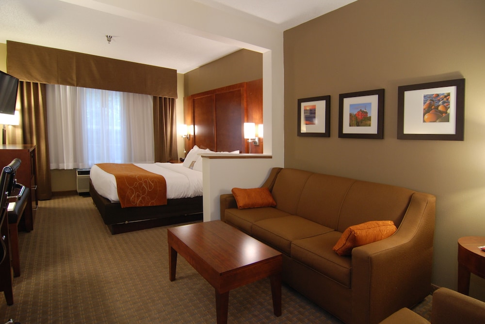 Suite, 1 King Bed with Sofa bed, Non Smoking - Photo 1