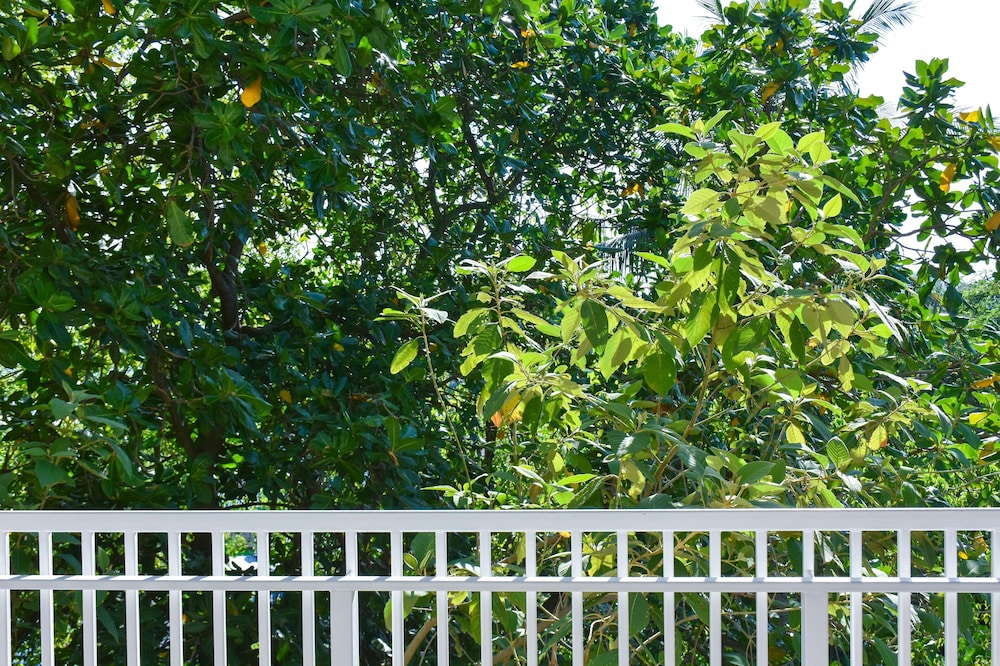 Junior Suite Garden View - Annex Wing - Photo 3