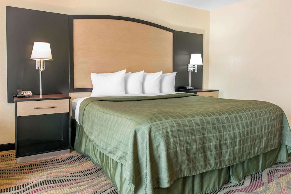 Suite, 1 King Bed photo 3