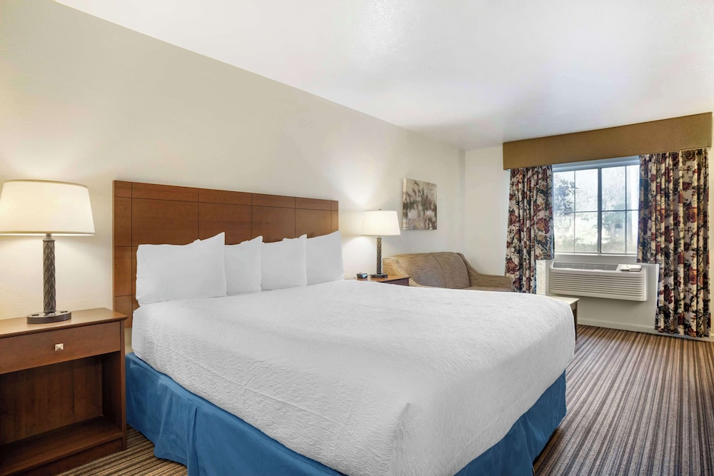 Standard Room, 1 King Bed, Accessible, Non Smoking photo 1