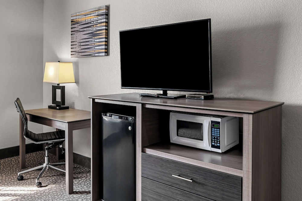 Standard Room, 1 King Bed, Non Smoking, Refrigerator & Microwave - Photo 3