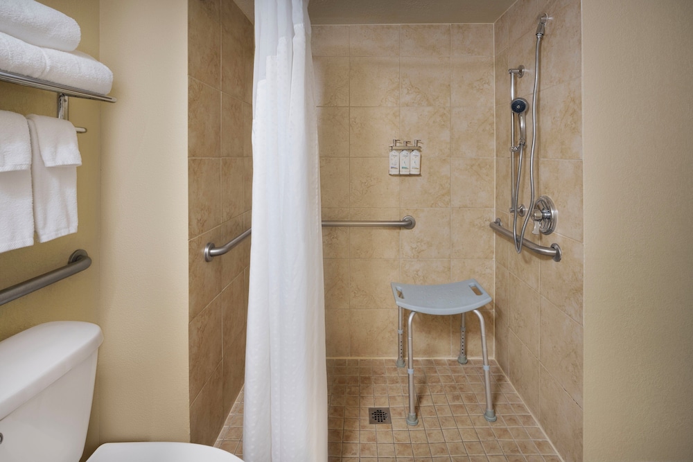 Standard Room, 1 King Bed, Roll-in Shower (Communications Accessible)