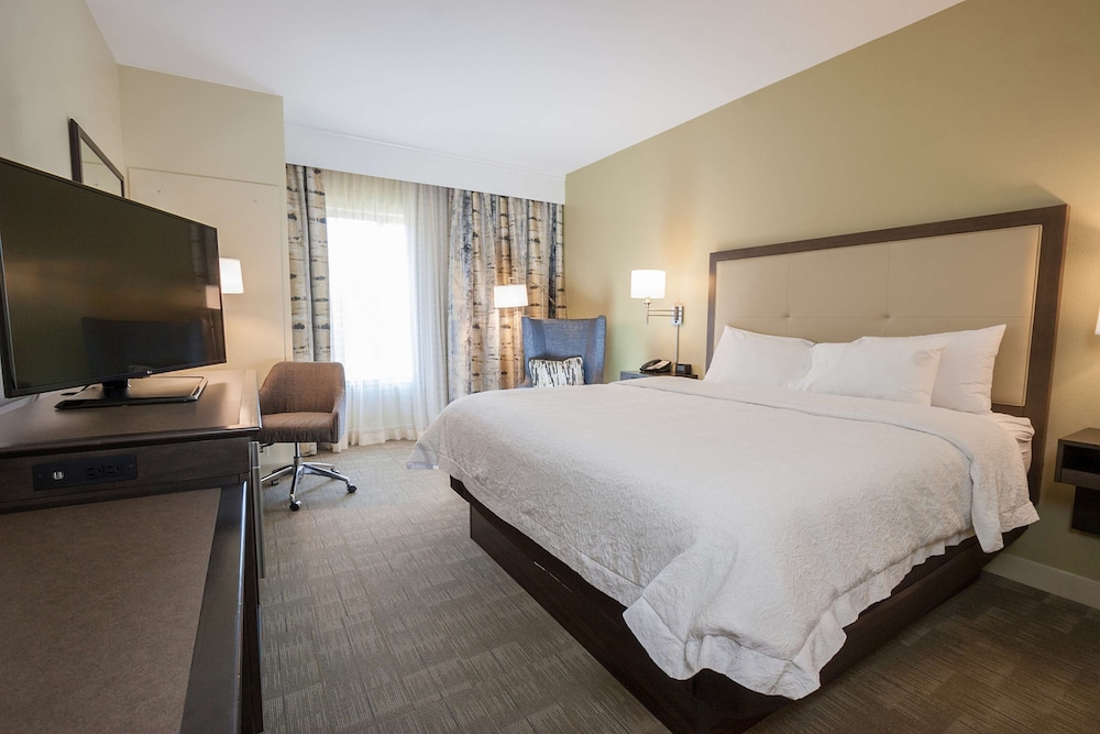 Room, 1 King Bed with Sofa bed, Accessible, Bathtub (Mobility & Hearing) - Photo 1