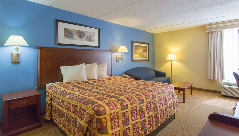 Room, 1 King Bed, Non Smoking, Refrigerator & Microwave photo 1