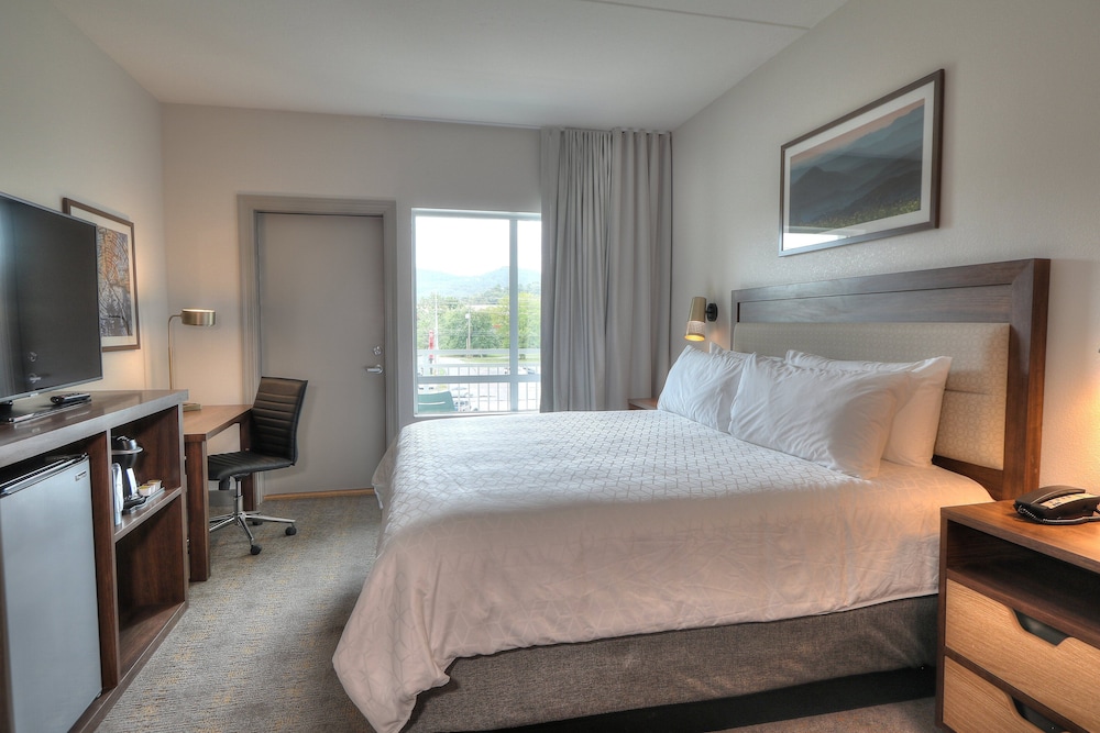 Premium Room, 1 King Bed, Balcony (Parkway View) - Photo 1