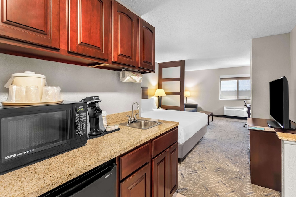 Suite, 1 King Bed, Non Smoking, Refrigerator & Microwave (with Sofabed) - Photo 4