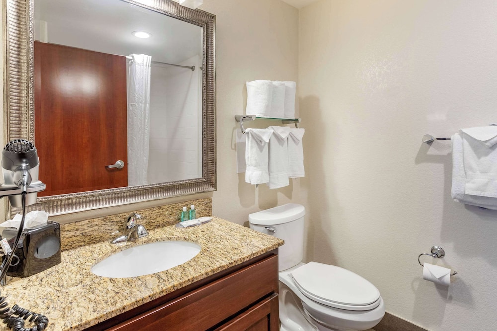 Suite, Multiple Beds, Non Smoking (Efficiency) - Photo 4