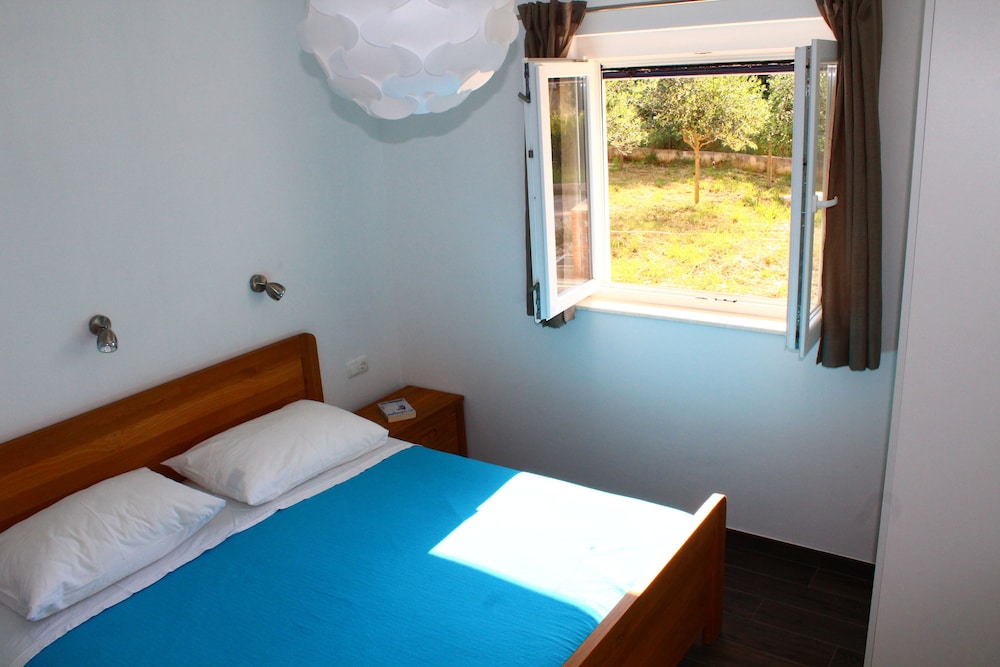 Gorgonia Suite 2