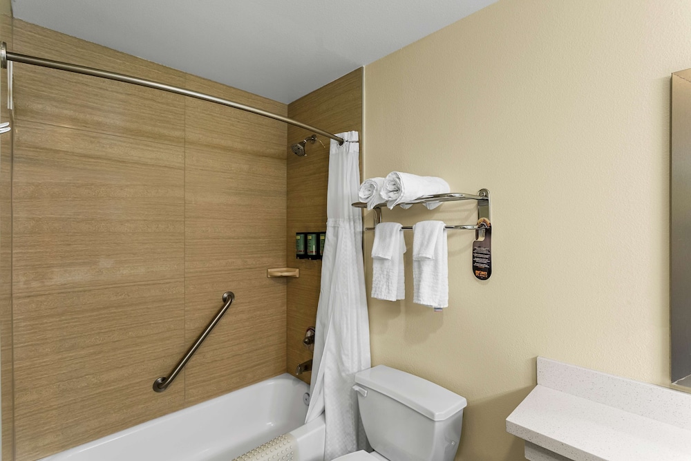 Standard Room, 1 King Bed, Non Smoking (Pet Friendly) photo 3