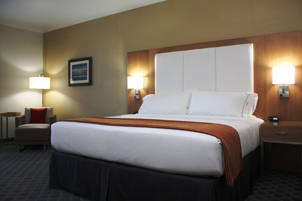 Suite, 1 King Bed With Sofa Bed (Feature) photo 2