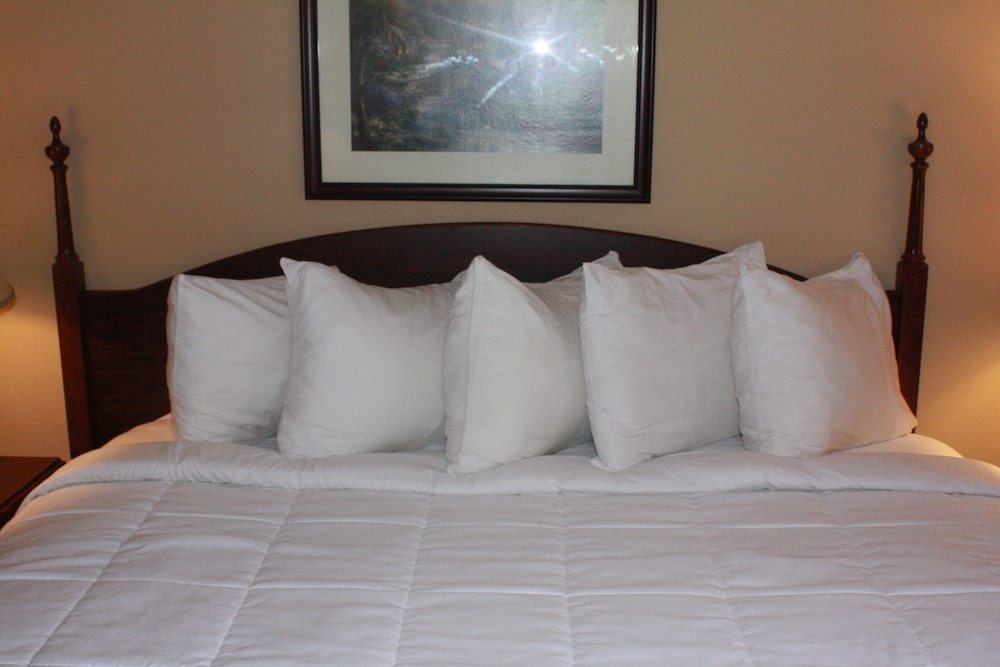 Room, 1 King Bed, Jetted Tub photo 2
