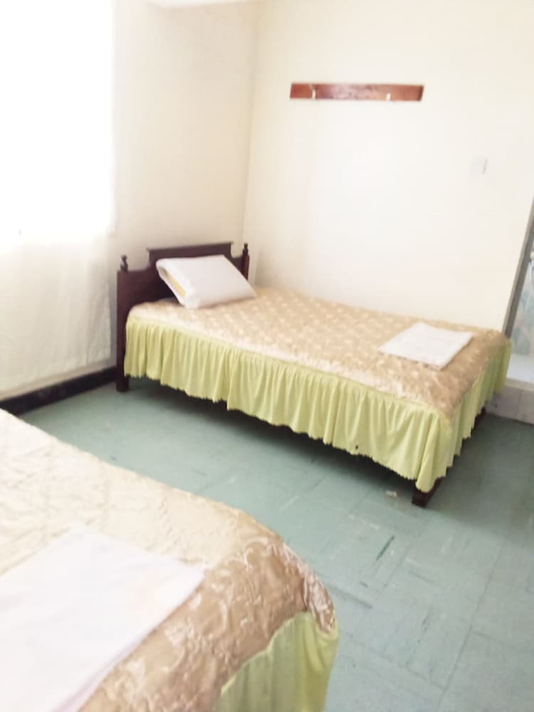 Twin Room photo 3