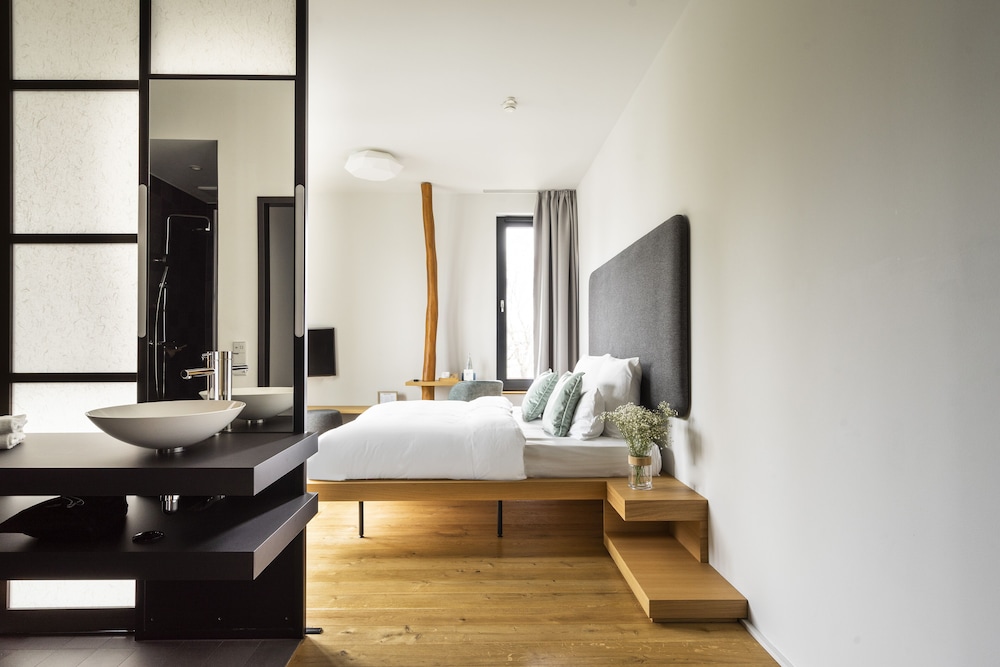 Large Studio with Kitchenette photo 2