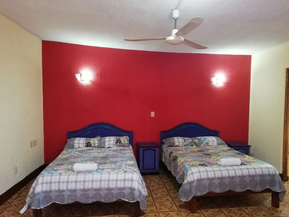 Basic Double Room, Mixed Dorm photo 1