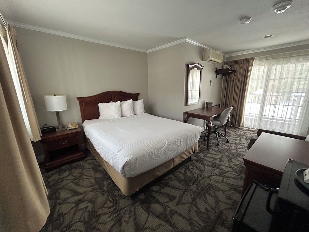 Room, 1 Queen Bed - Photo 1