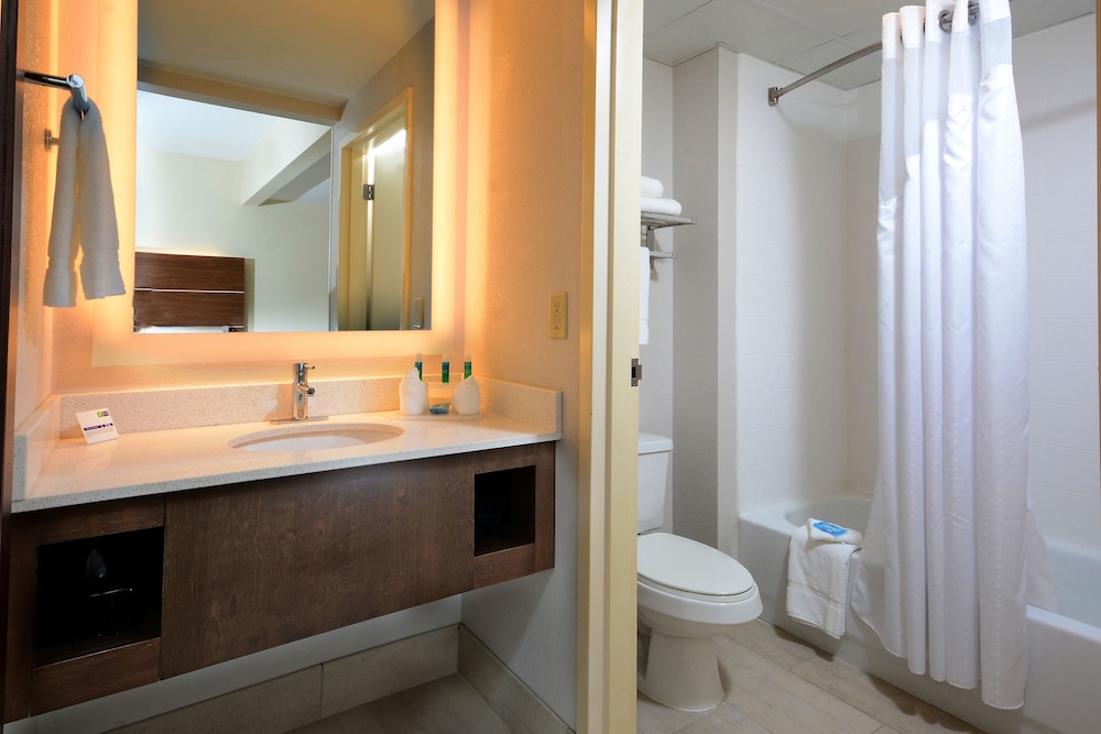 Suite, 1 King Bed, Accessible (Communications) - Photo 6