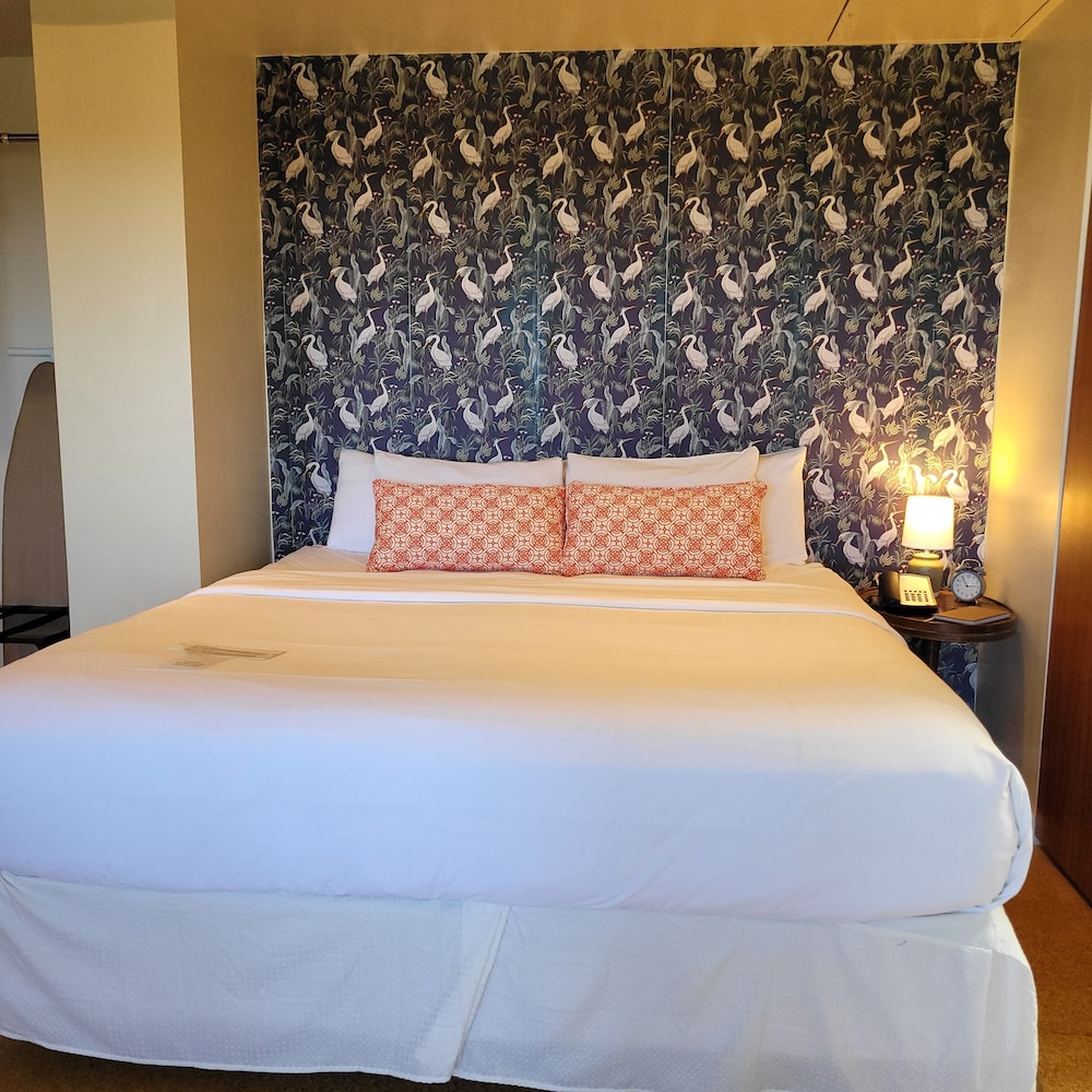Studio Suite, 1 King Bed, Ocean View photo 3