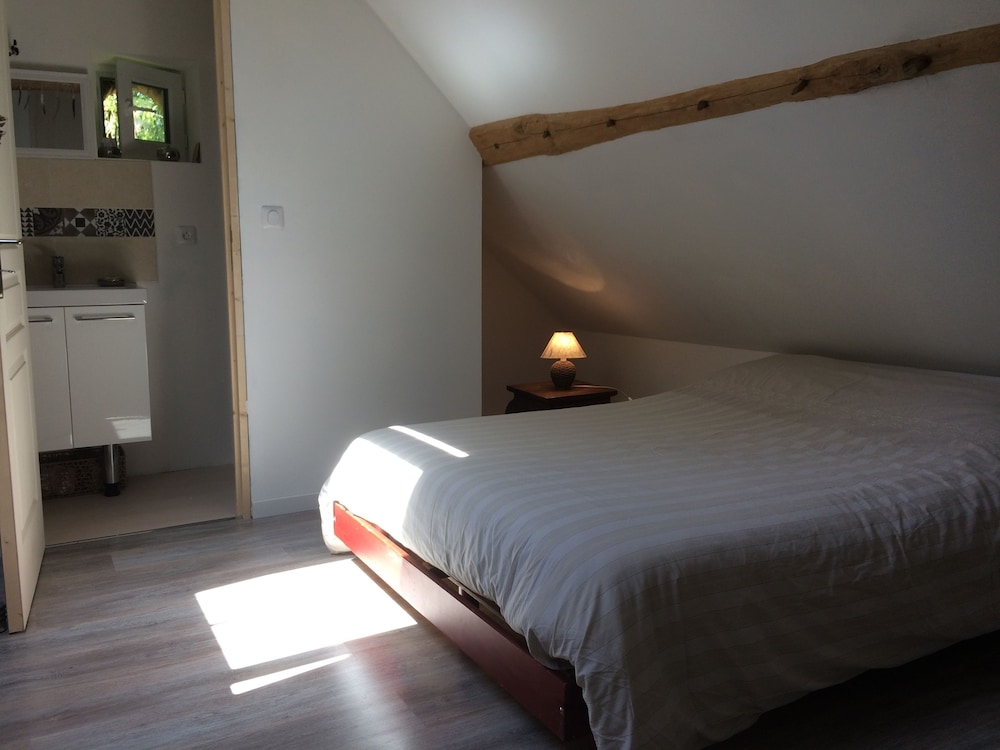 Comfort Studio Suite, Non Smoking photo 1