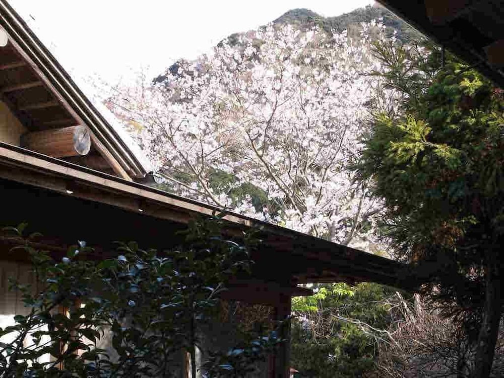 Class 2, Annex Building, Outdoor Bath (Run of the house / pictures are examples) photo 3