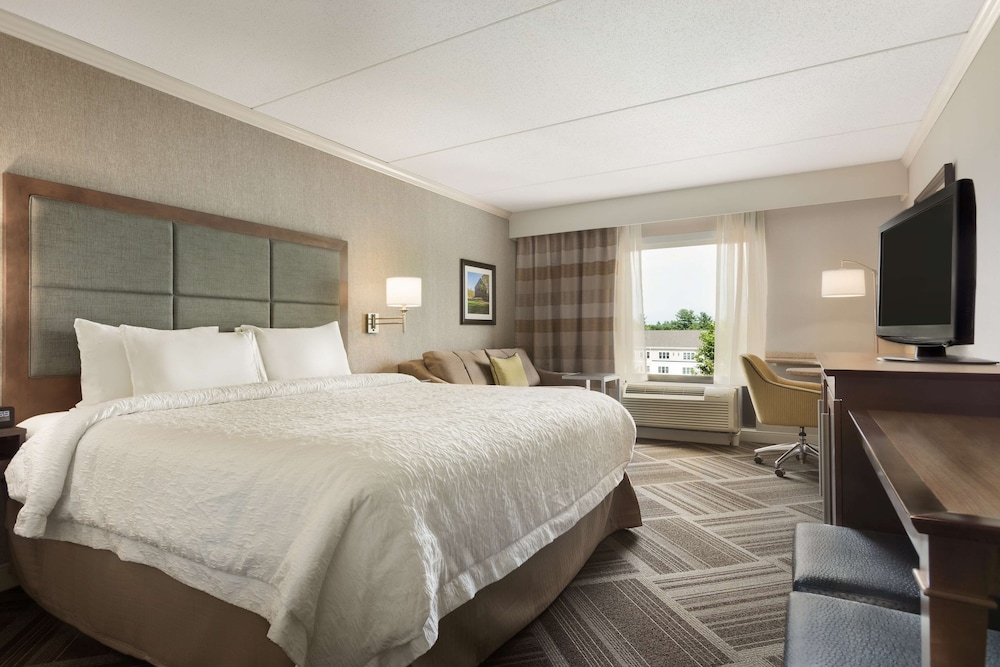 Studio Suite, 1 King Bed, Non Smoking - Photo 3